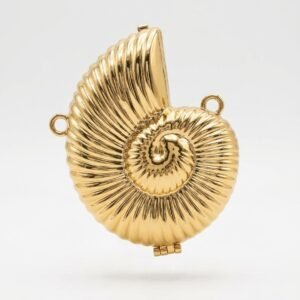 Mini Fancy Acrylic Clutch