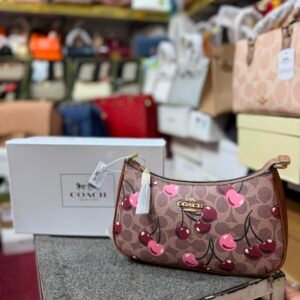 COACH TERI BAG