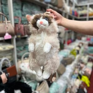 CAT BAG